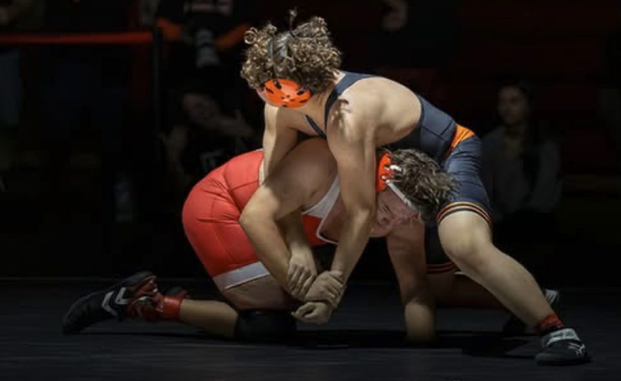 Wrestlers competing at Willigan XIX